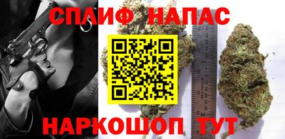 прущие грибы Балаково