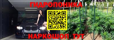 прущие грибы Балаково