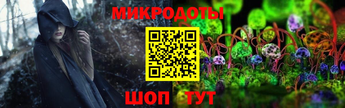 Галлюциногенные грибы прущие грибы Горно-Алтайск